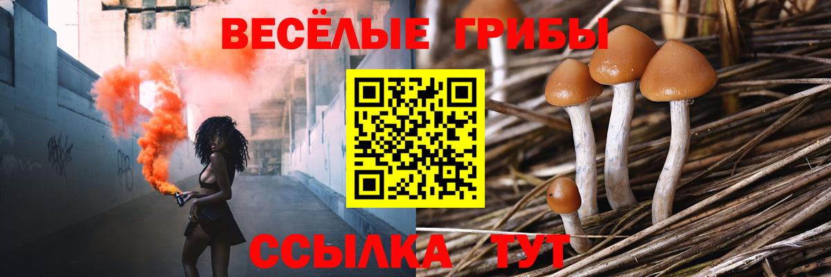 Нефтекумск  Галлюциногенные грибы Magic Shrooms  как найти закладки  Вход с VPN 